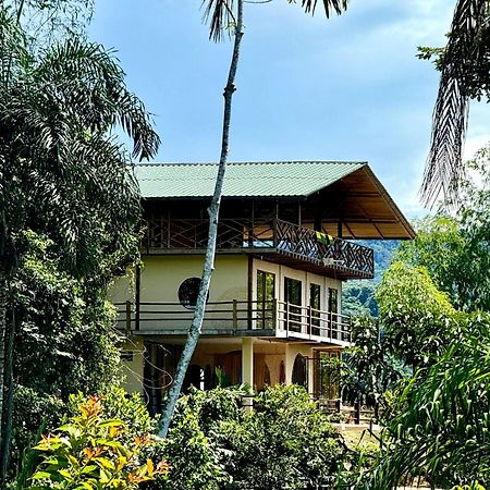 Wisdom Forest Lodge Tena Dış mekan fotoğraf