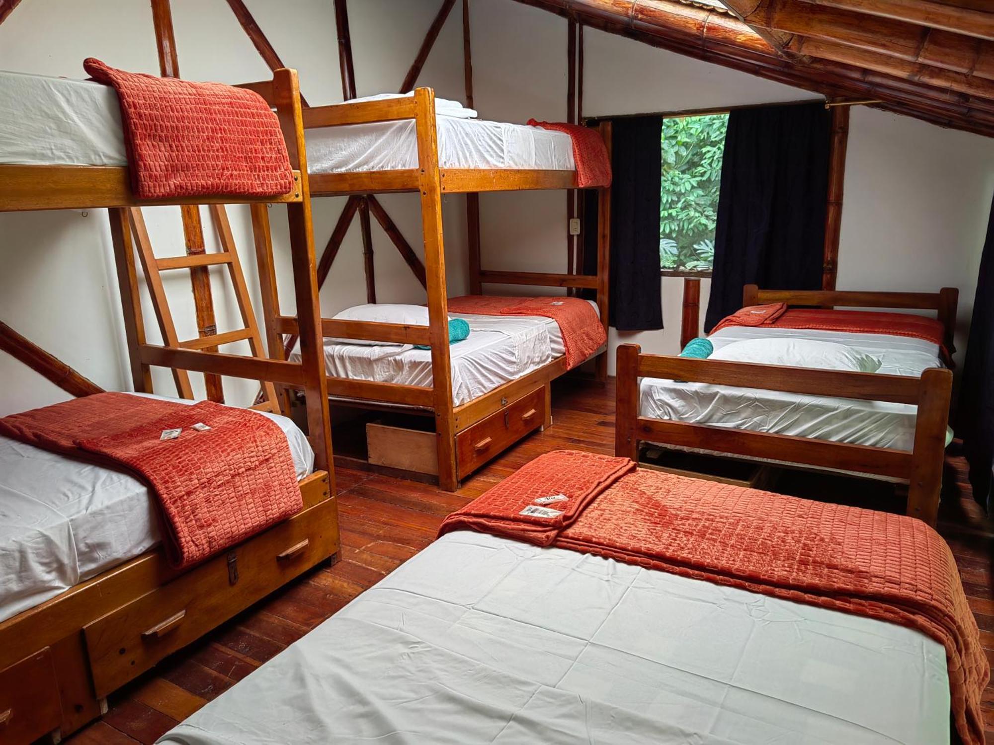 Wisdom Forest Lodge Tena Dış mekan fotoğraf