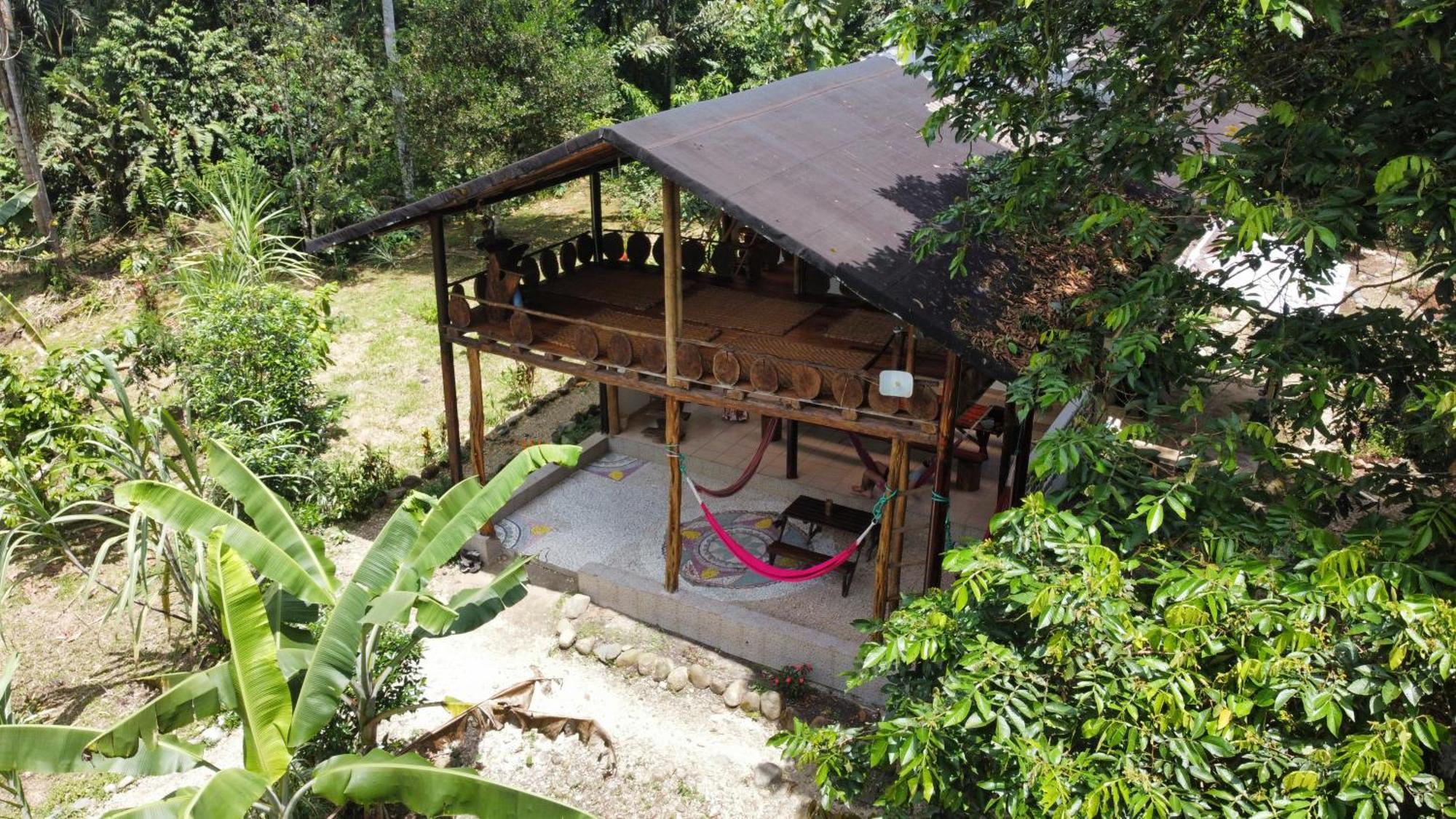 Wisdom Forest Lodge Tena Dış mekan fotoğraf