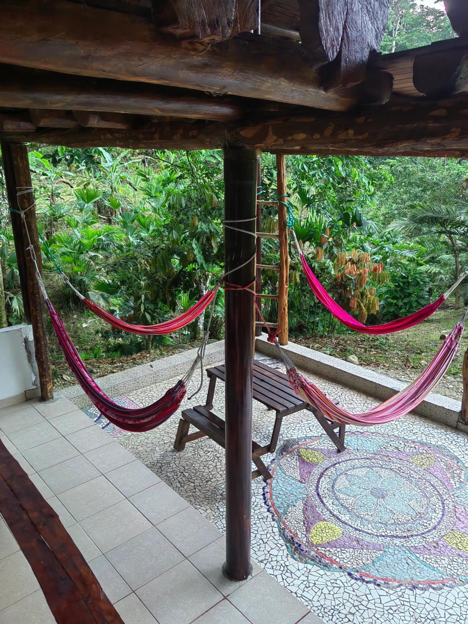 Wisdom Forest Lodge Tena Dış mekan fotoğraf